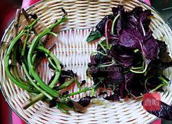 苋菜疙瘩汤的做法图解5