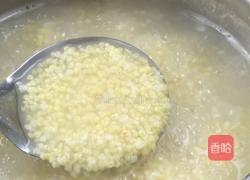 皮蛋鸡肉小米粥的做法图解11