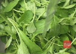 剁椒拌萝卜苗的做法图解1