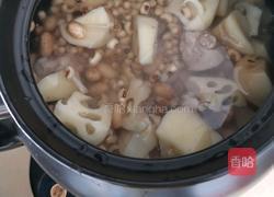 猪尾莲藕汤的做法图解4