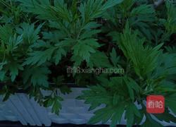 防感冒版艾叶蛋汤的做法图解1