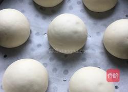 奶香风味馒头的做法图解8