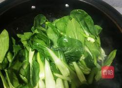 口蘑炒青菜的做法图解7