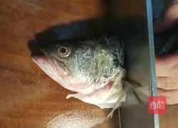 松鼠鲈鱼的做法图解2