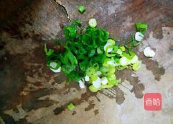 红油馄饨的做法图解21