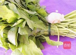 清炒汉菜的做法图解1