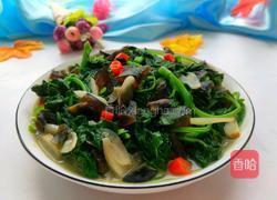 皮蛋苋菜的做法图解12
