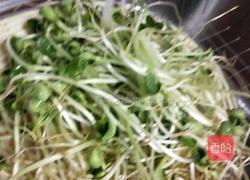 炝拌黑豆苗的做法图解2