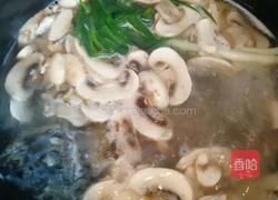蘑菇鲫鱼汤的做法图解5