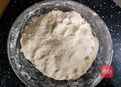 香酥麻辣肉饼的做法图解3