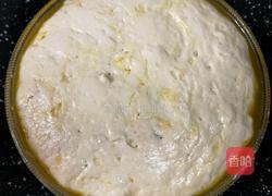 香酥麻辣肉饼的做法图解20