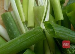 炝苦菊的做法图解2