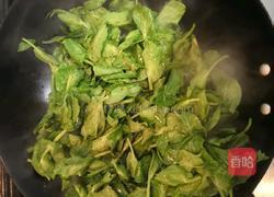 清炒豆苗的做法图解4