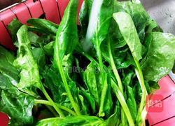 白芸豆拌菠菜的做法图解1