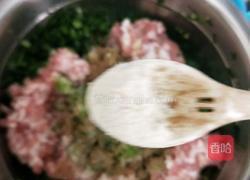 韭菜猪肉饺子的做法图解10