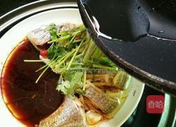 清蒸黄翅鱼的做法图解10