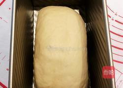 椰蓉双色吐司的做法图解11