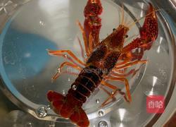 麻辣小龙虾的做法图解1