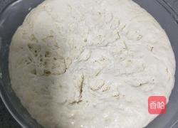 蒸包子(韭菜鸡蛋粉条)的做法图解20
