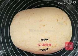 黄玫瑰花红薯花卷的做法图解6