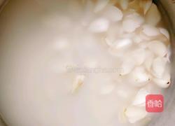 枸杞百合滋补醪糟的做法图解3