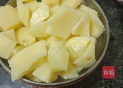 鸡肉炖土豆的做法图解3