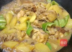 鸡肉炖土豆的做法图解7