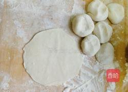 冬瓜肉馅蒸饺的做法图解11