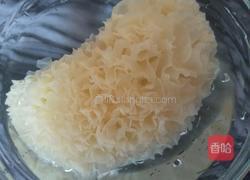 牛奶桃胶的做法图解2