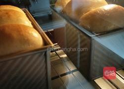 中种全麦吐司的做法图解8