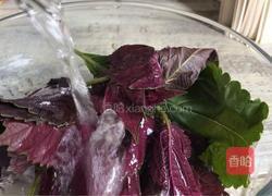 梗米紫苏冰糖粥的做法图解6