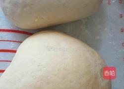 胡萝卜双色花卷的做法图解6