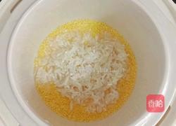 小米木瓜粥 (宝宝辅食）的做法图解5