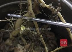 防风草炖老鸡的做法图解14