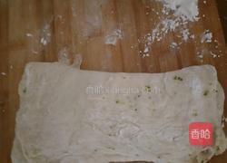 西蓝花香肠面包（免柔）的做法图解8