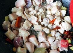 鲜豆角炖肉的做法图解5