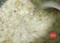 双米绿豆粥的做法图解10