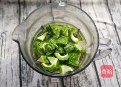 清凉苦瓜饮的做法图解7
