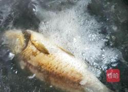 野生鲤鱼豆腐汤的做法图解5