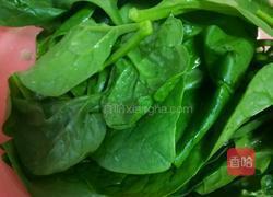 蒜蓉木耳菜的做法图解1