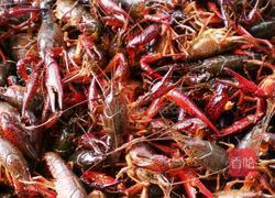 蒜泥龙虾的做法图解1