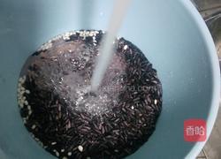 桂花紫米粥的做法图解2