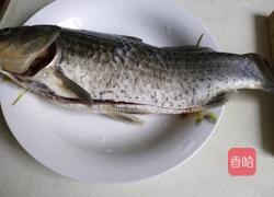 鲫鱼豆腐汤的做法图解1