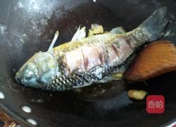 鲫鱼豆腐汤的做法图解4