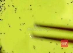 黄瓜鸡蛋卷饼的做法图解16