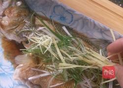清蒸鲈鱼的做法图解19