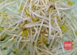 豆芽炒宽粉的做法图解1