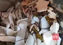 虎乳菌石斛海底椰排骨汤的做法图解1