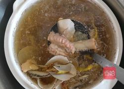 虎乳菌石斛海底椰排骨汤的做法图解5