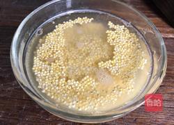 银耳小米粥的做法图解5